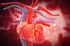 Dr. Gabriel Villard Milet - Cardiologia e Clínica Médica no Rio - Medicosrio.com.br